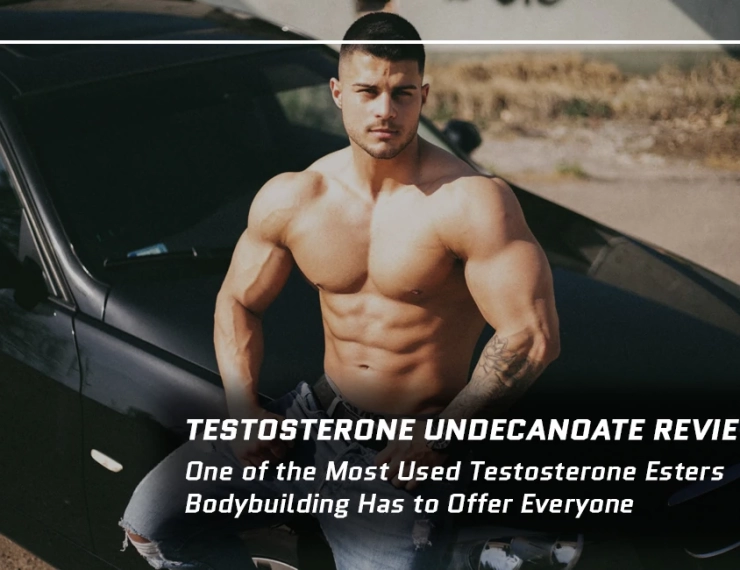 Testosterone Undecanoate Review