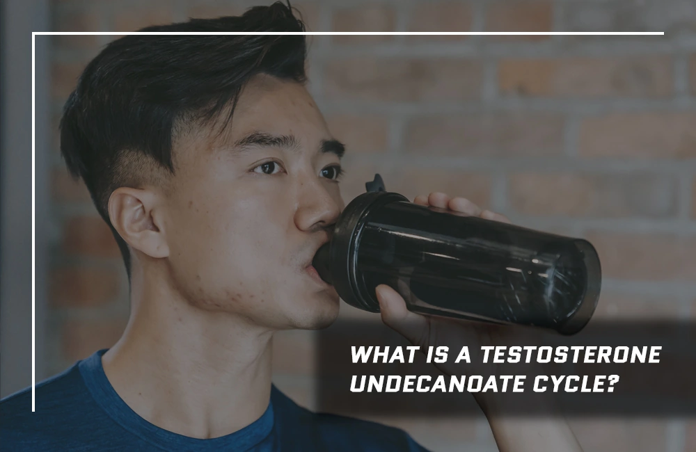 Testosterone Undecanoate Cycle