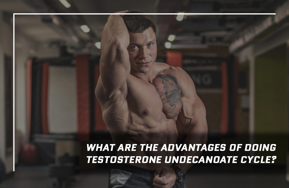 Testosterone Undecanoate Cycle Advantages