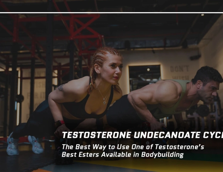 Testosterone Undecanoate Cycle