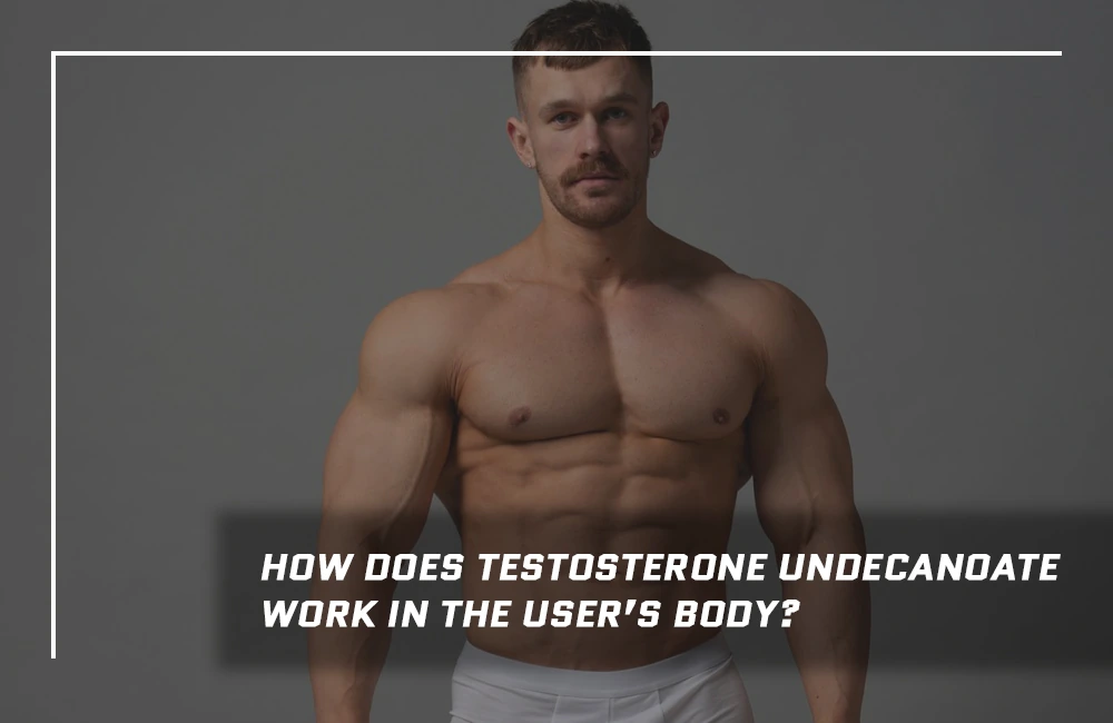 How Does Testosterone Undecanoate Work