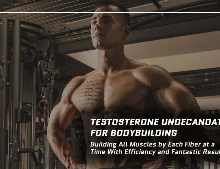 Testosterone Undecanoate for Bodybuilding