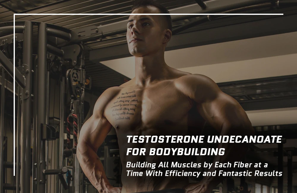 Testosterone Undecanoate for Bodybuilding