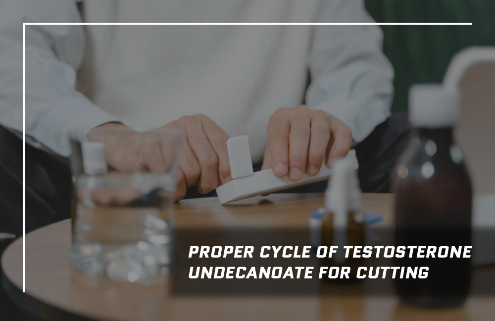 Testosterone Undecanoate proper cycle