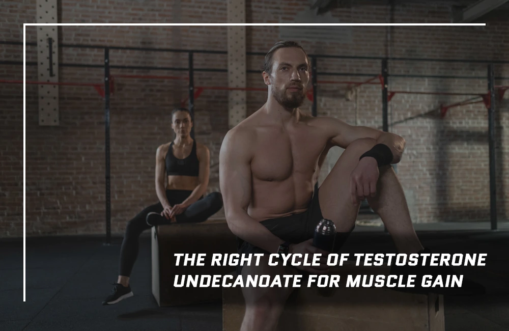 Testosterone Undecanoate right cycle