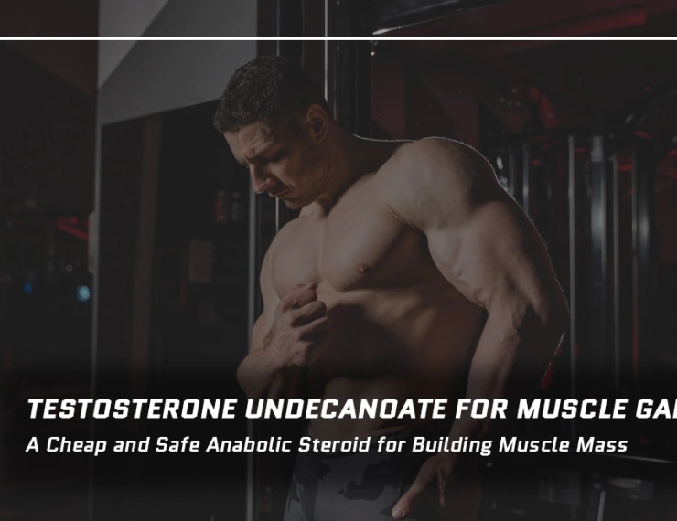 Testosterone Undecanoate for Muscle Gain